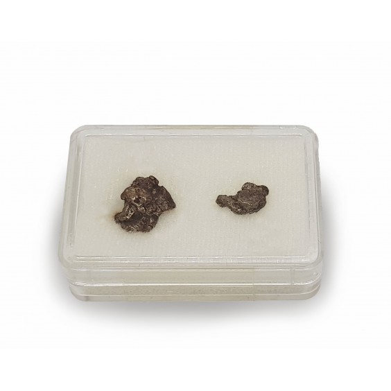 Μετεωρίτης (δύο τεμάχια) από την περιοχή Campo del Cielo
