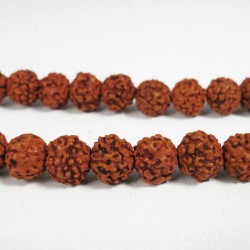 Rudrakh Malas