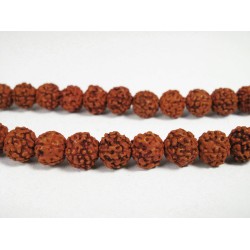 Rudrakh Malas