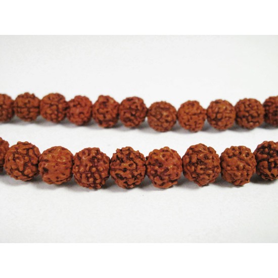 Rudrakh Malas
