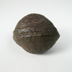 Shaman Stone 5 cm