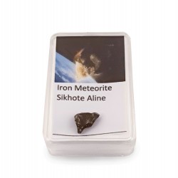 Iron meteor Sikhote Alin