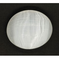 Polished palm selenite