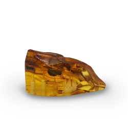 Amber piece with sculpted landscape inside