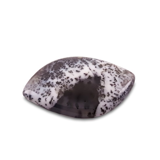 Polished denritic agate