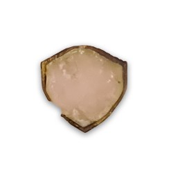 Tourmaline watermelon (polished unevenly)