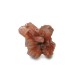 Aragonite free form