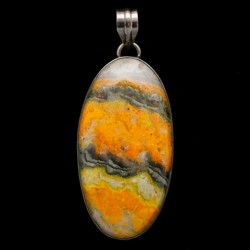 Bumblebee jasper pendant